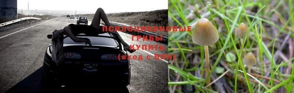 марки nbome Новозыбков