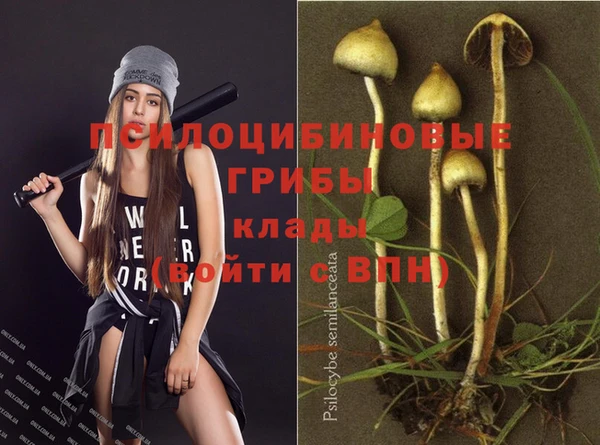 mdpv Новодвинск