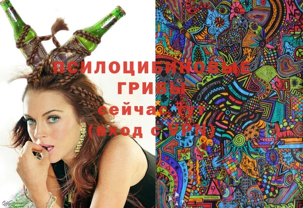 mdpv Новодвинск