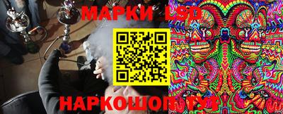 дживик Гай