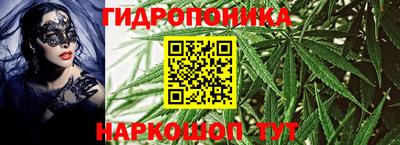 прущие грибы Абакан