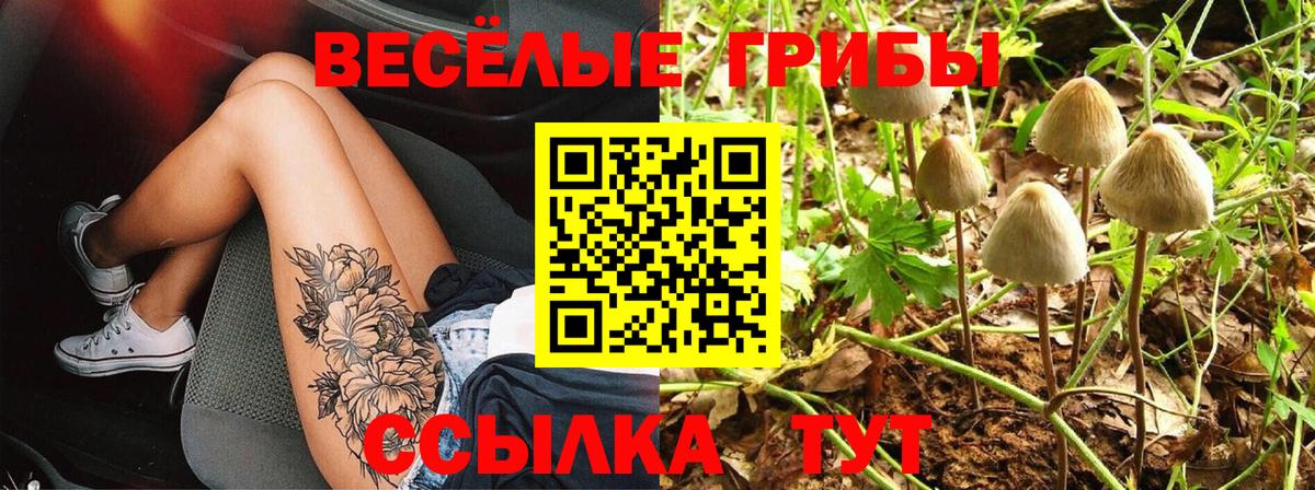 Псилоцибиновые грибы Psilocybe  Вход с VPN  наркота  Псилоцибиновые грибы Cubensis  Алейск 